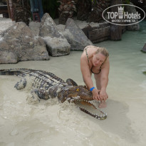 фото из отзыва ID 1116270