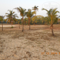 фото из отзыва ID 1116427