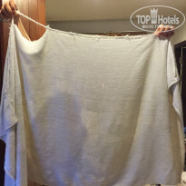 фото из отзыва ID 1116456