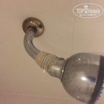 фото из отзыва ID 1116456