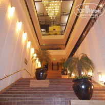 фото из отзыва ID 1116616