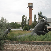 фото из отзыва ID 1116642