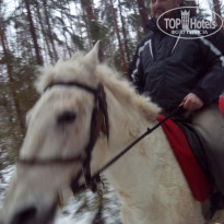 фото из отзыва ID 1116646