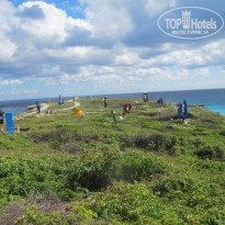 фото из отзыва ID 1116690