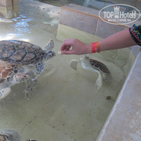 фото из отзыва ID 1116690