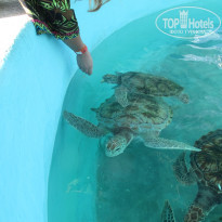 фото из отзыва ID 1116690