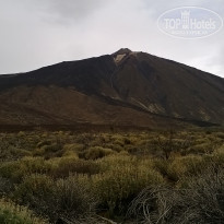 фото из отзыва ID 1117023