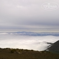 фото из отзыва ID 1117023