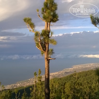 фото из отзыва ID 1117023