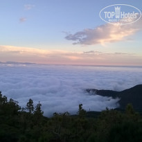 фото из отзыва ID 1117023