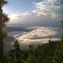 фото из отзыва ID 1117023