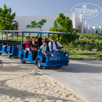 фото из отзыва ID 1117063