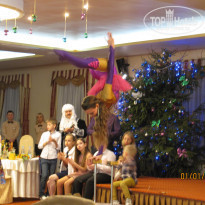 фото из отзыва ID 1117067