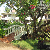 фото из отзыва ID 1117162