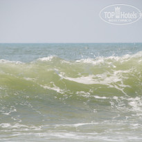 фото из отзыва ID 1117162