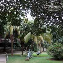 фото из отзыва ID 1117283