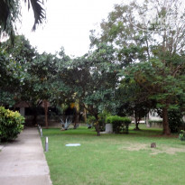 фото из отзыва ID 1117283