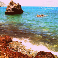 фото из отзыва ID 1117288