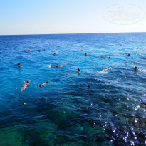 фото из отзыва ID 1117356