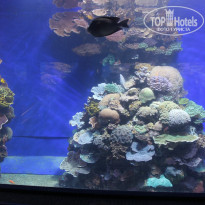 фото из отзыва ID 1117422