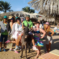 фото из отзыва ID 1117435