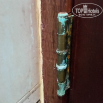 фото из отзыва ID 1117492