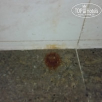 фото из отзыва ID 1117492