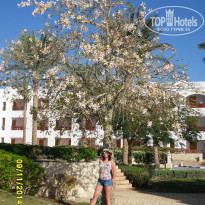 фото из отзыва ID 1117647