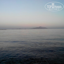 фото из отзыва ID 1117647