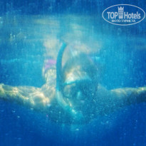 фото из отзыва ID 1117602