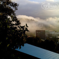 фото из отзыва ID 1117831