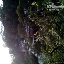 фото из отзыва ID 1117831