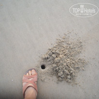 фото из отзыва ID 1117833