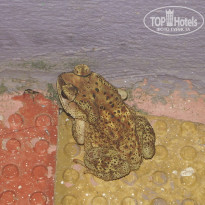 фото из отзыва ID 1117833