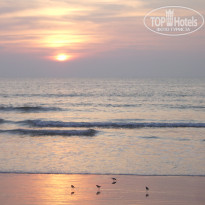 фото из отзыва ID 1117833