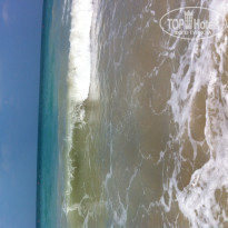 фото из отзыва ID 1117858