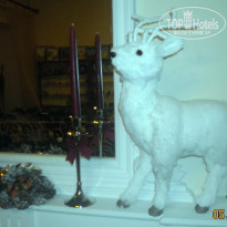 фото из отзыва ID 1117909