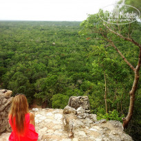 фото из отзыва ID 1117936