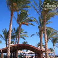 фото из отзыва ID 1117942