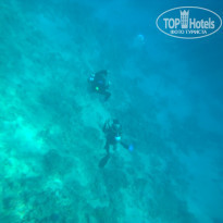 фото из отзыва ID 1117993