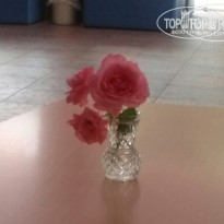 фото из отзыва ID 1118029