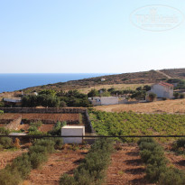 фото из отзыва ID 1118104