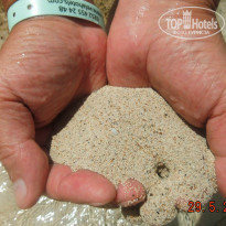 фото из отзыва ID 1118206