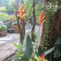 фото из отзыва ID 1118274