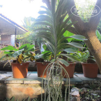 фото из отзыва ID 1118274