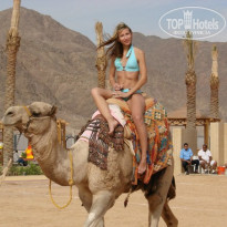 фото из отзыва ID 1118297