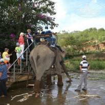 фото из отзыва ID 1118400