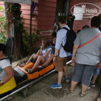 фото из отзыва ID 1118400