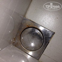 фото из отзыва ID 1118419