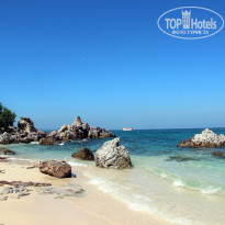 фото из отзыва ID 1118477